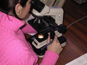 Asbestos Testing